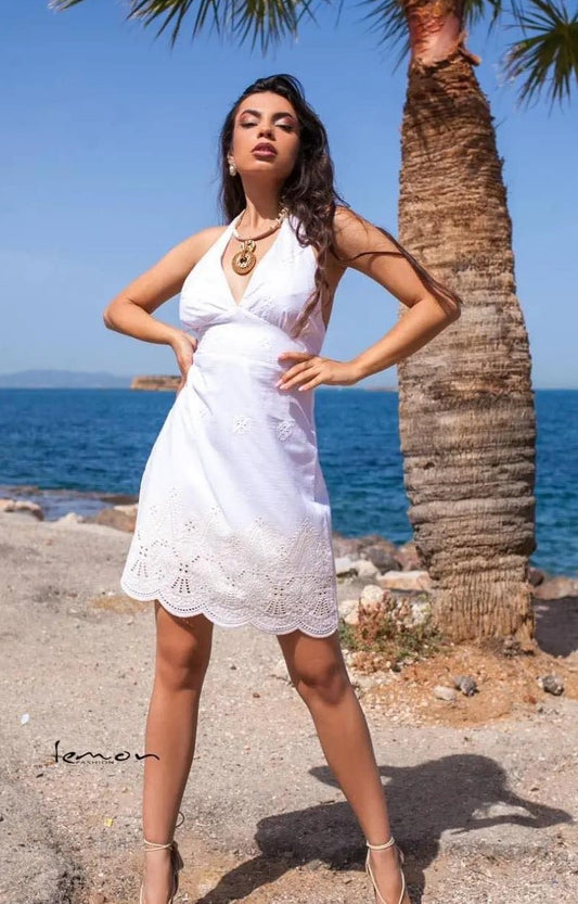 Φόρεμα mini με κέντημα detailed